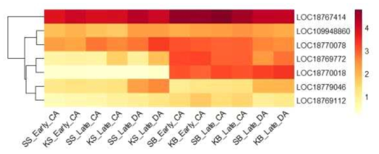 Heatmap, based on log2(FPKM+1) values, on expression level of B3 domain-containing transcription factors in the shoots (SS or KS) and buds (SB or KB) of ‘Soomee’ and ‘Kiraranokiwami’ peach trees at early cold acclimation (CA), late CA, and late deacclimation (DA) stages