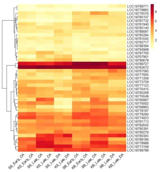 Heatmap, based on log2(FPKM+1) values, on expression level of ethylene-responsive transcription factors in the shoots (SS or KS) and buds (SB or KB) of ‘Soomee’ and ‘Kiraranokiwami’ peach trees at early cold acclimation (CA), late CA, and late deacclimation (DA) stages