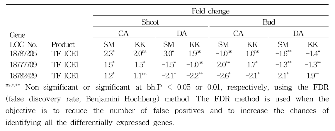 Fold changes in expression level of transcription factor (TF) ICE1s in the shoots and buds of ‘Soomee’ (SM) and ‘Kiraranokiwami’ (KK) peach trees during cold acclimation (CA) and deacclimation (DA)