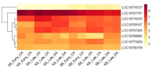 Heatmap, based on log2(FPKM+1) values, on expression level of bZIP transcription factors in the shoots (SS or KS) and buds (SB or KB) of ‘Soomee’ and ‘Kiraranokiwami’ peach trees at early cold acclimation (CA), late CA, and late deacclimation (DA) stages