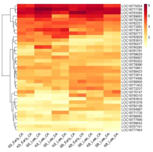 Heatmap, based on log2(FPKM+1) values, on expression level of MYB transcription factors in the shoots (SS or KS) and buds (SB or KB) of ‘Soomee’ and ‘Kiraranokiwami’ peach trees at early cold acclimation (CA), late CA, and late deacclimation (DA) stages