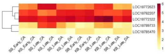 Heatmap, based on log2(FPKM+1) values, on expression level of WRKY transcription factors in the shoots (SS or KS) and buds (SB or KB) of ‘Soomee’ and ‘Kiraranokiwami’ peach trees at early cold acclimation (CA), late CA, and late deacclimation (DA) stages