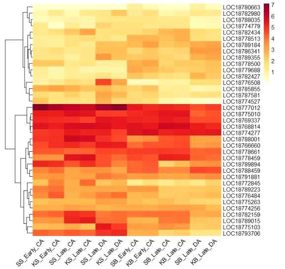 Heatmap, based on log2(FPKM+1) values, on expression level of probable WRKY transcription factors in the shoots (SS or KS) and buds (SB or KB) of ‘Soomee’ and ‘Kiraranokiwami’ peach trees at early cold acclimation (CA), late CA, and late deacclimation (DA) stages