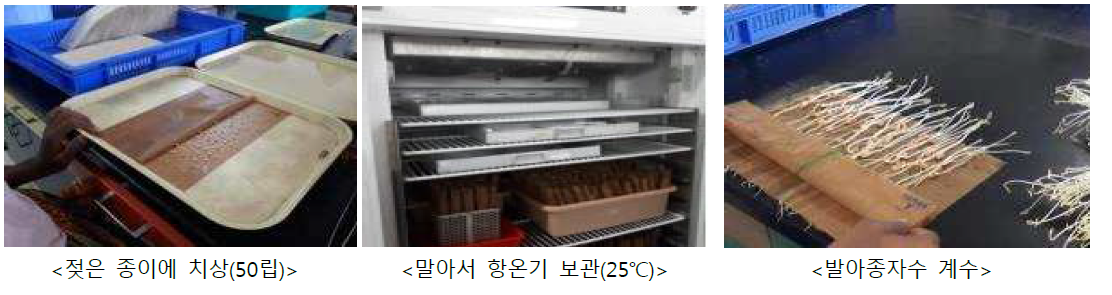 ICRISAT Genebank 발아율 조사