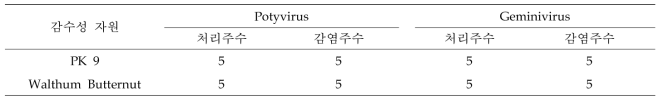 감수성 자원의 potyvirus(ELISA 분석) 및 geminivirus(PCR 분석) 검출