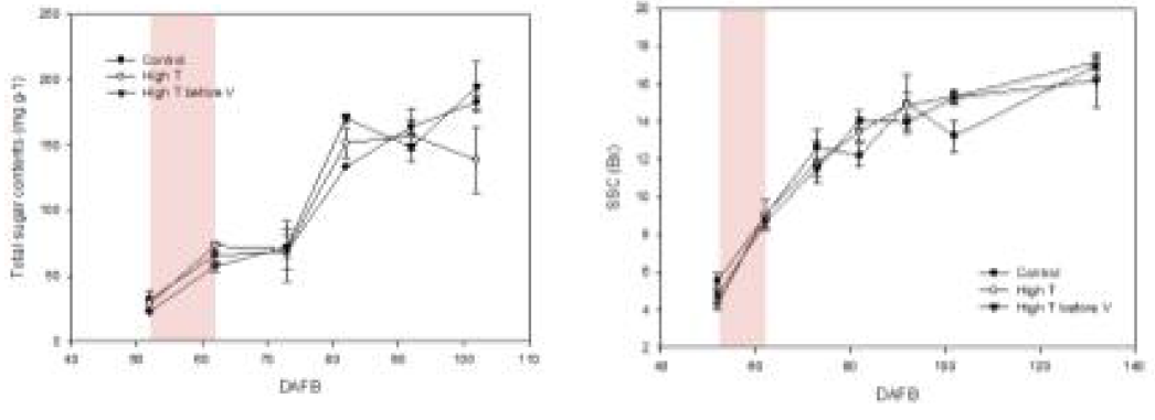 시기별 과피 내 당 함량 및 당도(좌, 당 함량; 우, 당도)