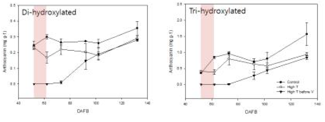 안토시아닌 함량 변화(좌, Di-hydroxylated; 우, Tri-hydroxylated)