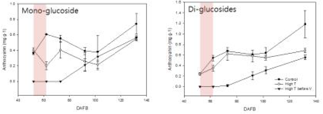 안토시아닌 함량 변화(좌, mono-glucoside; 우, Di-glucosides)