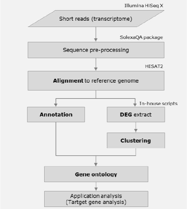 RNA-seq 분석 모식도