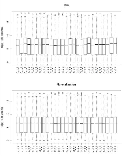 시료별 유전자 발현량의 raw data와 표준화 값의 분포