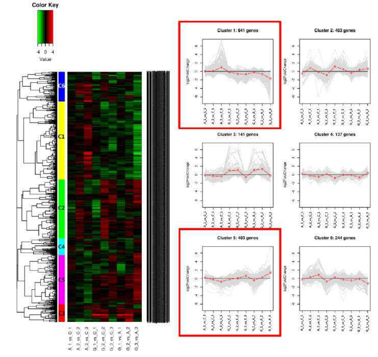 Clustering을 이용한 2,049개 차등발현 유전자의 군집화(I) (Heatmap은 왼쪽부터 A_1 vs C_1, A_2 vs C_2, A_3 vs C_3, G_1 vs C_1, G_2 vs C_2, G_3 vs C_3, G_1 vs A_1, G_2 vs A_2, G_3 vs A_3 비교조합 데이터를 표현; 오른쪽의 Line plot은 heatmap에 표현된 cluster를 패턴으로 표현)