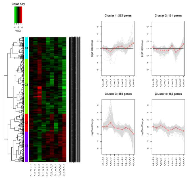 Clustering을 이용한 1,044개 차등발현 유전자의 군집화(II) (Heatmap은 왼쪽부터 A_1 vs C_1, A_2 vs C_2, A_3 vs C_3, G_1 vs C_1, G_2 vs C_2, G_3 vs C_3, G_1 vs A_1, G_2 vs A_2, G_3 vs A_3 비교조합 데이터를 표현; 오른쪽의 Line plot은 heatmap에 표현된 cluster를 패턴으로 표현)