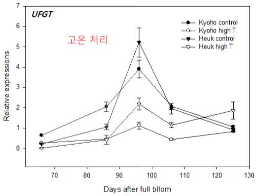 고온에 의한 ‘거봉’, ‘흑보석’ 포도의 과피 내 UFGT 발현량 분석