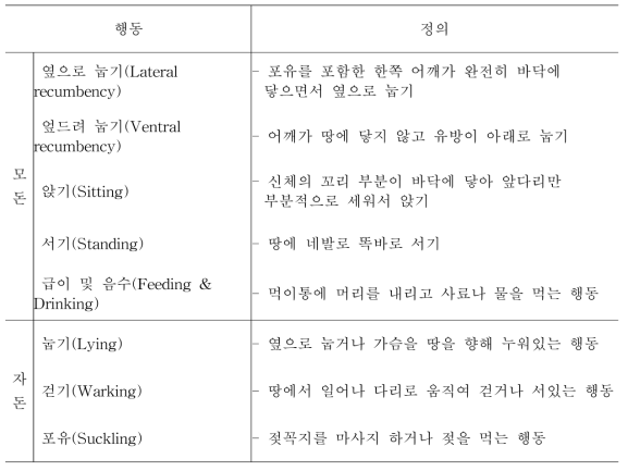 모돈과 자돈의 행동변수 정의