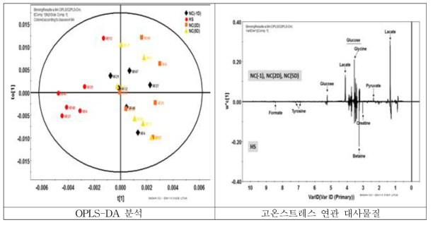 사료 제한 급여형태에서 고온 스트레스 전후 돼지 plasma 내 대사체