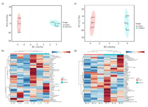 대사체 분석: 암컷 집단의 (a) 주성분분석 및 (b) 대사체 농도에 대한 heatmap, 수컷 집단의 (c) 주성분분석 및 (d) 대사체 농도에 대한 heatmap