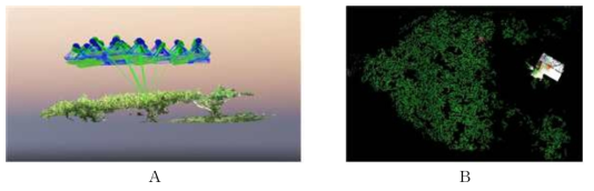 지면에서 25cm의 DSM 고도에 따른 Point Cloud 영상 (A) 및 접합 영상 (B)