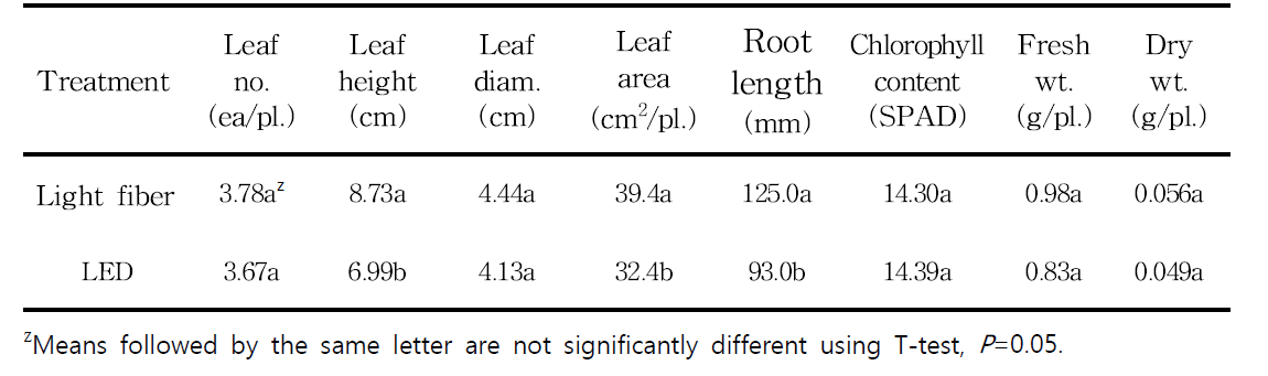 Growth of affected lettuce 20 days after sowing