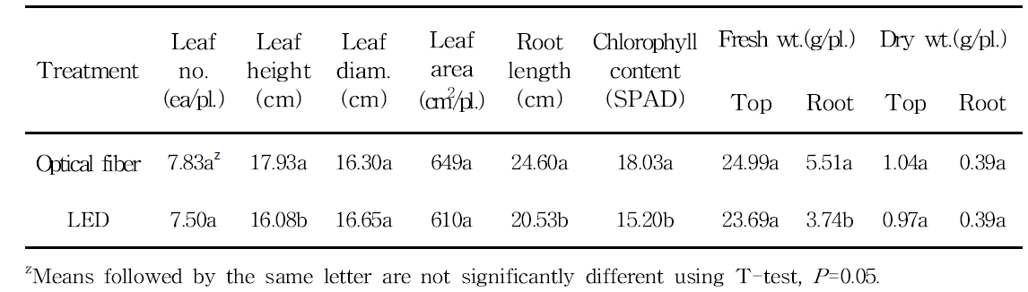 Growth of affected lettuce 30 days after sowing