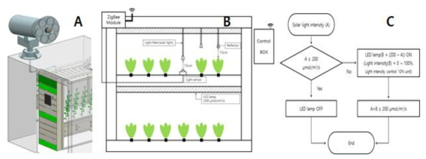 Collector devices design of outside(A), inside(B) and light supply algorithm(C)