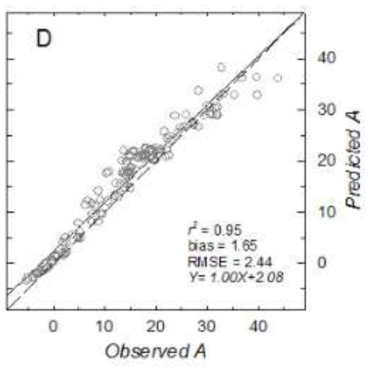 마늘 엽의 광합성 모형 예측 및 관측값 비교(국외)