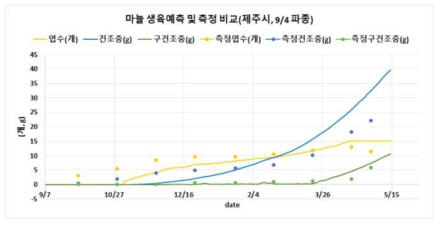 제주시 마늘 생육 예측과 관측의 관계(9/4 파종)