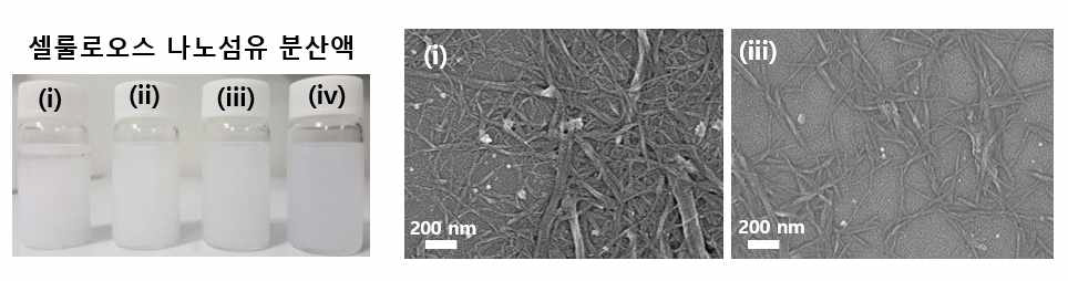 4가지 조건의 셀룰로오스 나노 섬유 분산액과 나노 섬유의 SEM 이미지 ((i) 500 bar, 10 passes, (ii) 500 bar, 30 passes, (iii) 1000 bar, 10 passes, (iv) 1000 bar, 20 passes)