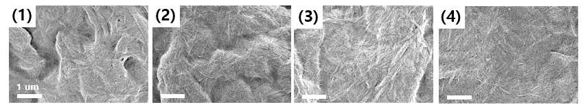 4가지 조건의 셀룰로오스 나노 종이 기판의 SEM 이미지