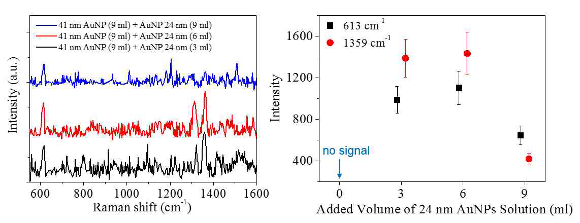 서로 다른 크기의 금 나노 입자의 흡착 비율 변화에 따른 나노 종이에서의 Rhodamine 6 (100 pM)에 대한 라만 스펙트럼 결과