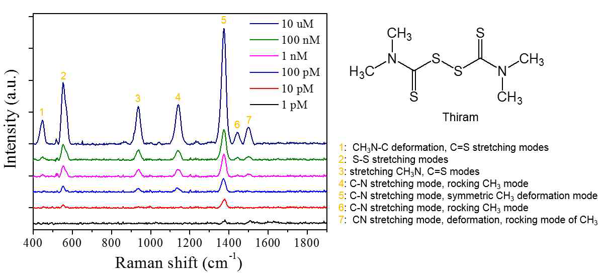 최적화된 조건의 41 nm 금 나노 입자 9 ml과 24 nm 금 나노 입자 3 ml이 흡착된 나노 종이 기판에서의 농약성분 thiram의 농노별에 대한 라만 스펙트럼 결과