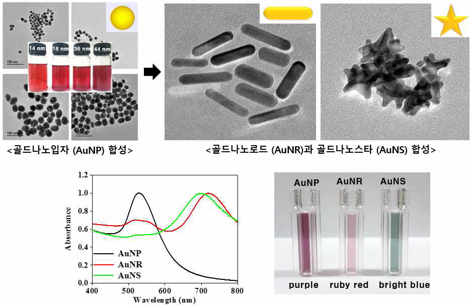 고감도 SERS 신호 발생을 위한 다양한 금 나노구조체 (입자, 로드, 스타) 합성