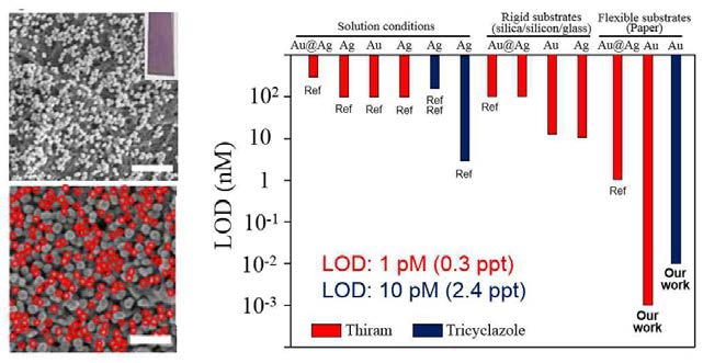 금 나노 입자 (24 nm : 41 nm = 0.3 : 1) 가 도입된 나노 종이 기판의 전자현미경 이미지와 농약성분의 최저 감지 농도 결과