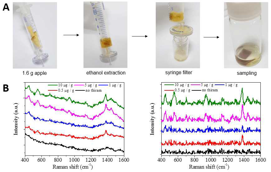용매(에탄올) 추출 방법과 SERS 분석을 통한 사과 내에 존재하는 농약성분 thiram의 최저 감지 농도 결과