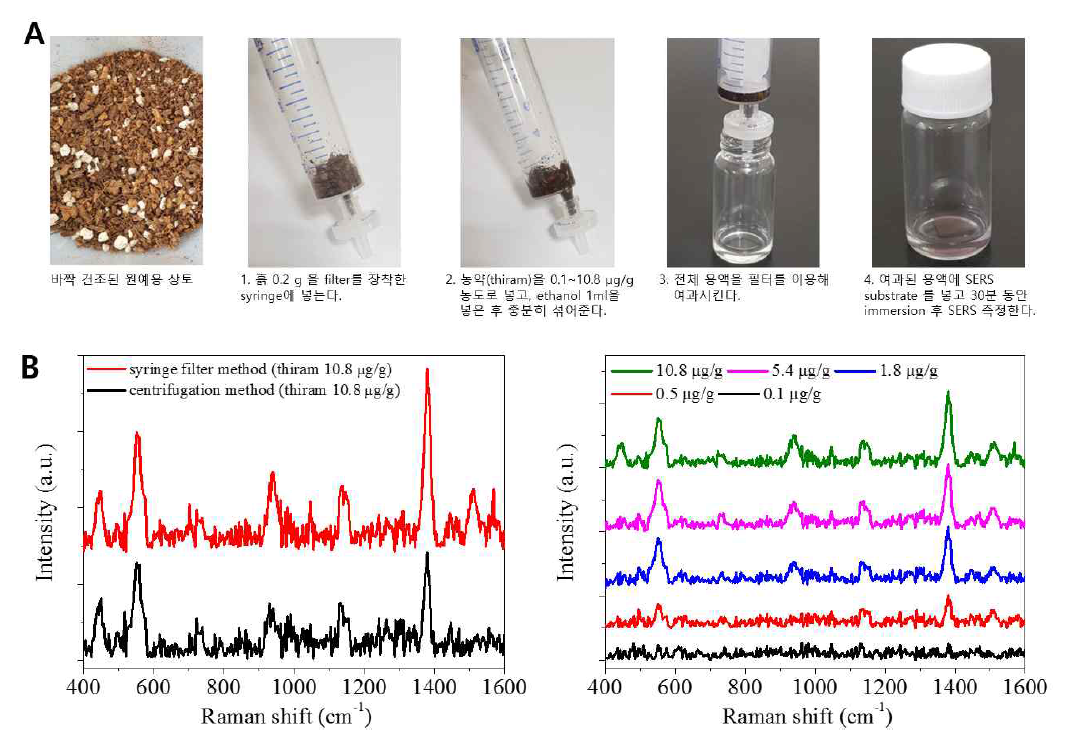 용매(에탄올) 추출 방법과 SERS 분석을 통한 토양 성분 내에 존재하는 농약성분 thiram의 최저 감지 농도 결과