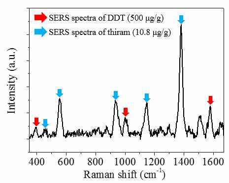 토양 내에 존재하는 2가지 농약성분 thiram과 DDT의 동시 SERS 분석 결과