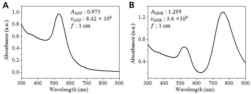 (A) 금 나노 입자와 (B) 금 나노 로드의 UV-Visible Spectrophotometer (자외 및 가시선 분광분석법) 분석