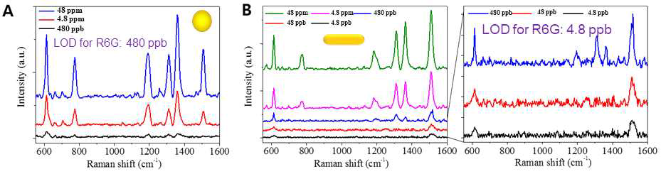 (A) 금 나노 입자 (18 ml)와 (B) 금 나노 로드 (14 ml)가 도입된 투명 SERS 종이기판의 R6G의 최저검출농도 (LOD) 실험결과
