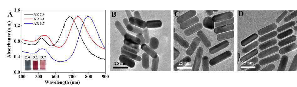 (A) 종횡비에 따른 금 나노 로드 UV 흡광 및 용액, (B)-(D) 종횡 비가 다른 금 나노 로드에 대한 각각의 TEM이미지