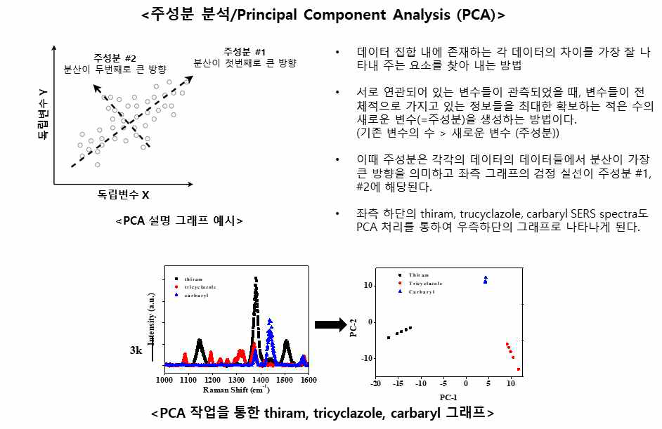 주성분 분석에 대한 간략한 설명 및 SERS 데이터의 주성분 분석 결과