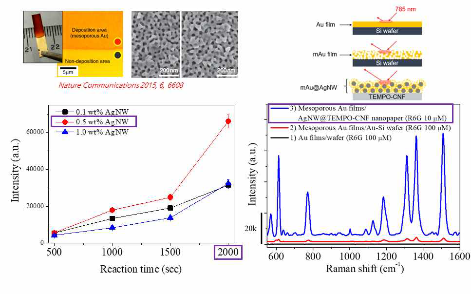 실버 나노와이어 분산액 농도, 전기화학 반응시간 조절을 통한 최적화된 SERS 기판 제작과 다른 골드 SERS 기판과의 신호 감도 비교