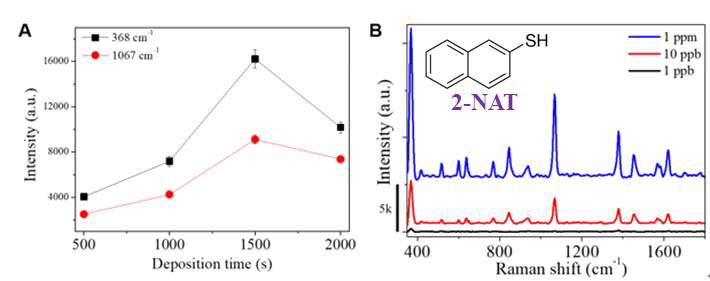 N2 flow를 통해 용액상태 2-napthalenethiol(2-NAT)를 gas 상태로 SERS 기판에 흡착 및 검출, (A) Mesoporous Au film 증착 시간에 따른 2-NAT gas SERS 신호 변화, (B) 최적 조건 SERS 기판을 사용하여 2-NAT (1ppm ~ 1ppb)에 대한 SERS 신호 확인