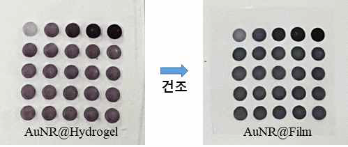 감압 여과 방식을 사용한 AuNR@hydrogel 패턴 제조