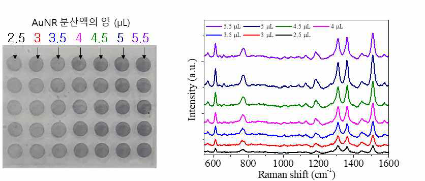 각 패턴에 서로 다른 양의 금 나노로드 분산액 여과 후 R6G (48 ppm)에 대한 SERS 신호 확인