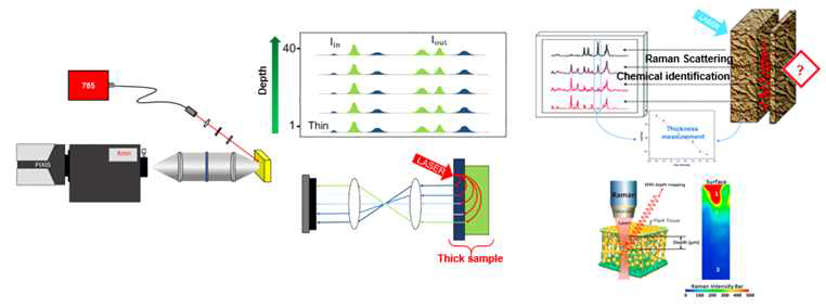 Deep Raman Spectroscopy 이용한 비파괴 및 in-situ 분석이 가능한 농산물 유해성분 분석기술