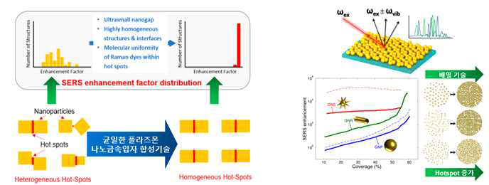 균일한 사이즈를 갖는 플라즈몬 나노금속입자의 합성 및 배열 기술을 이용한 최적 hotspot 형성 기술