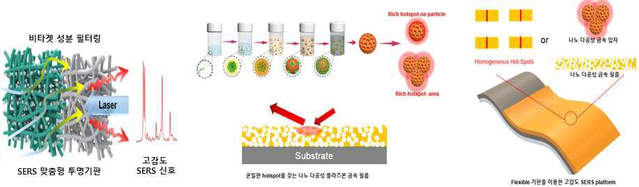 타겟성분 필터용 및 미세나노기공구조를 갖는 향상된 플라즈몬 나노금속입자 및 필름합성 기술