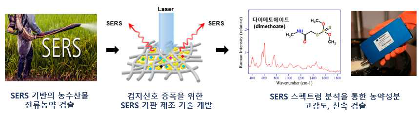 SERS 기반의 농약 성분 검출 기술의 개요 및 시판중인 소형 SERS 기기