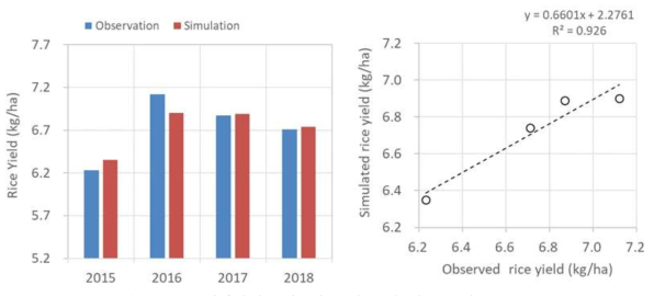 생산량의 관측 및 모의 결과 비교(단위: Ton/ha)