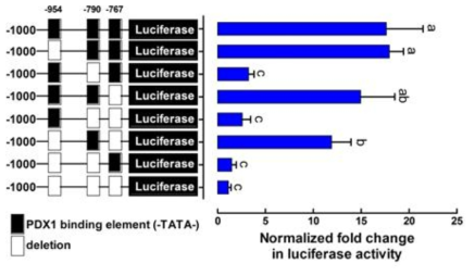 HBEGF promoter deletion assay