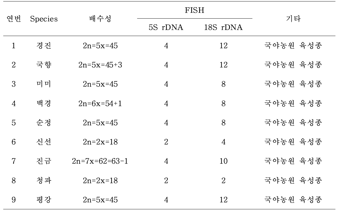 국야농원 육성 국화 품종의 배수성 및 FISH 분석 결과